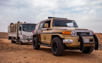 القوات الخاصة للأمن البيئي تضبط (3) مخالفين لنظام البيئة في الرياض القوات الخاصة للأمن البيئي تضبط (3) مخالفين لنظام البيئة في الرياض