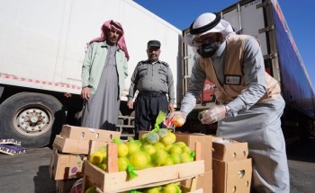 فرع البيئة بتبوك يضبط أكثر من 1200 كيلو من المنتجات الزراعية الفاسدة في السوق المركزي فرع البيئة بتبوك يضبط أكثر من 1200 كيلو من المنتجات الزراعية الفاسدة في السوق المركزي