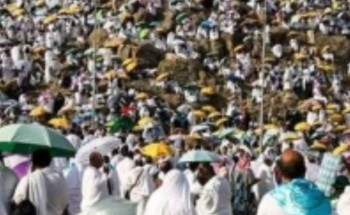 يوم عرفة.. شعيرةٌ تُحيي القلوب وتجمع الأمة