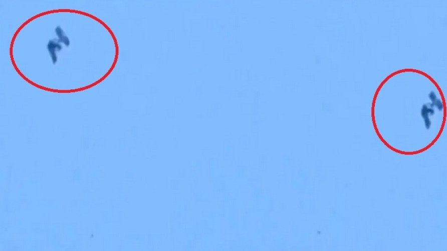بالفيديو .. الزعاق: يوثق لحظة مرور محطة الفضاء الدولية على قرص الشمس في بريدة