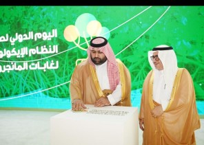 سمو أمير منطقة جازان بالنيابة يرعى فعاليات الاحتفاء باليوم الدولي لصون النظام الإيكولوجي لغابات المانجروف سمو أمير منطقة جازان بالنيابة يرعى فعاليات الاحتفاء باليوم الدولي لصون النظام الإيكولوجي لغابات المانجروف