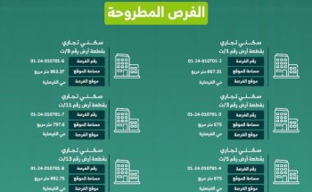 أمانة الجوف تطرح 8 فرص استثمارية في بلدية العيساوية أمانة الجوف تطرح 8 فرص استثمارية في بلدية العيساوية