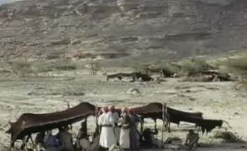 بالفيديو.. حفل زفاف قبل 60 عاما بعسير