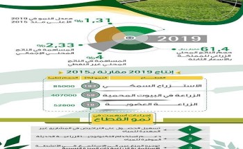 تقرير لـ”البيئة”: 1.31% الناتج الزراعي للمملكة في 2019.. الأعلى منذ 2015 تقرير لـ”البيئة”: 1.31% الناتج الزراعي للمملكة في 2019.. الأعلى منذ 2015